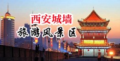 长屌操白嫰逼中国陕西-西安城墙旅游风景区