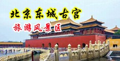 大黑屌鸡吧操逼视频中国北京-东城古宫旅游风景区